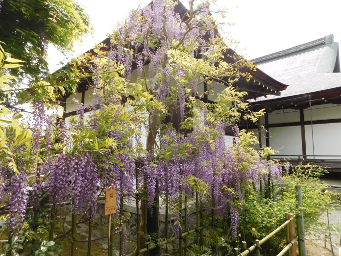 Kyoto Arashiyama 012